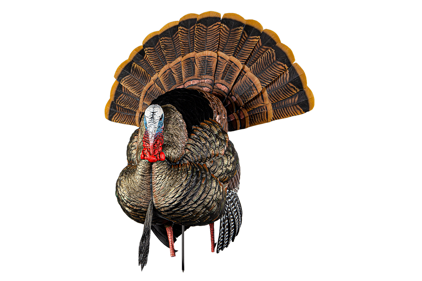 AVIAN X HDR Strutter Turkey Species Multi Color