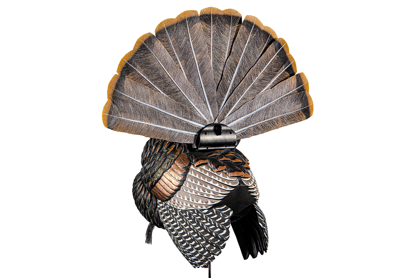 AVIAN X HDR Strutter Turkey Species Multi Color
