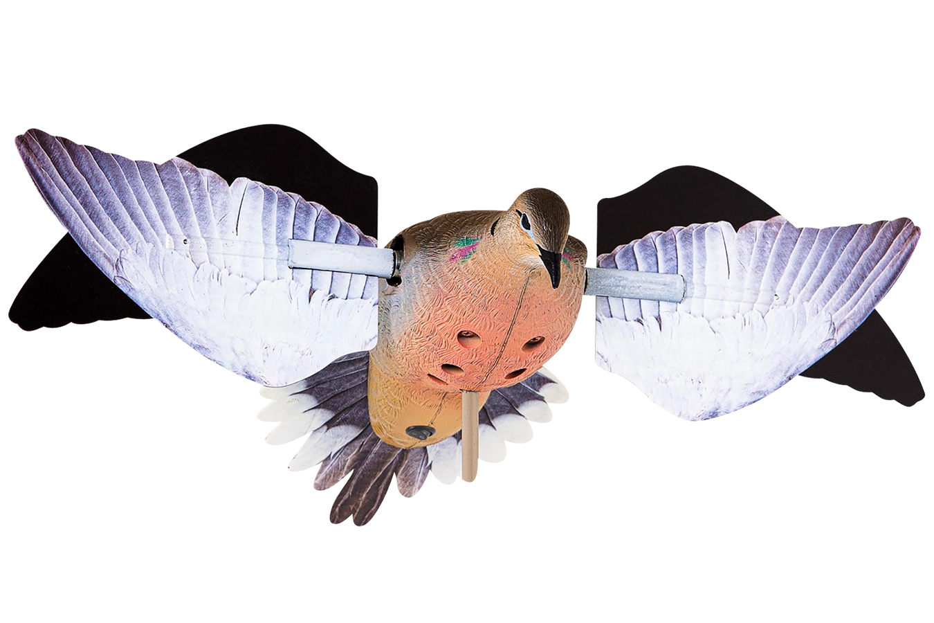 AVIAN X PowerFlight Doves Species Multi-Color