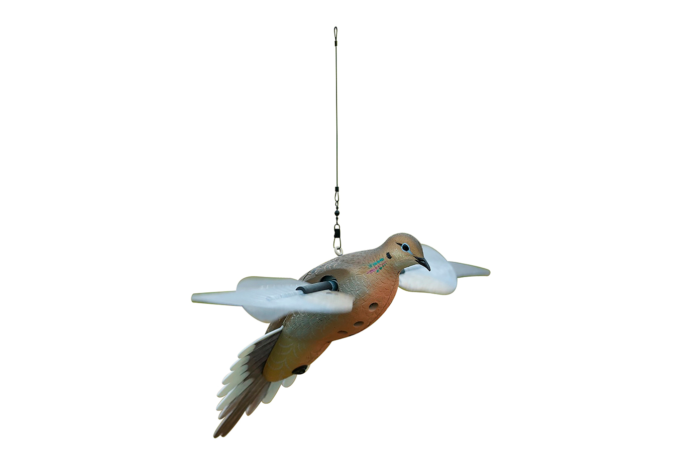 AVIAN X PowerFlight Doves Species Multi-Color