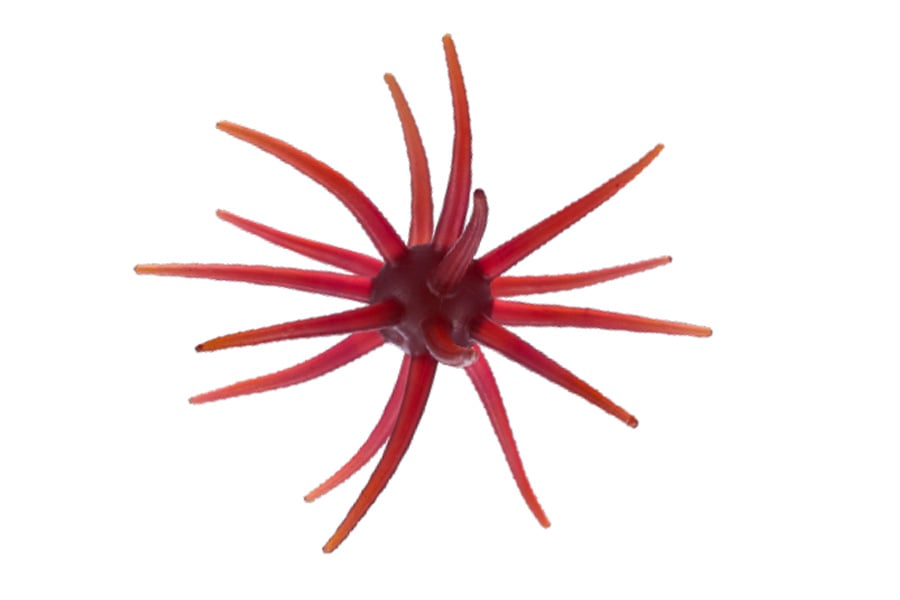 Big Bite Baits Orbix Urchin-Style Bait 19mm