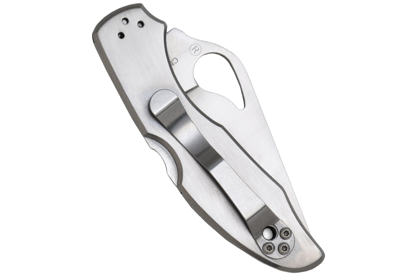 SPYDERCO Byrd Meadowlark 2 Lockback Knife - Silver