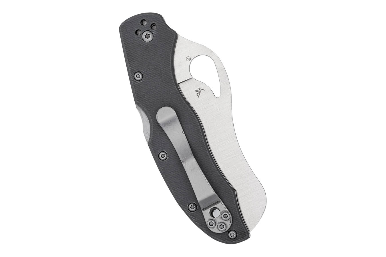 Spyderco Byrd Gooney Folding Knife