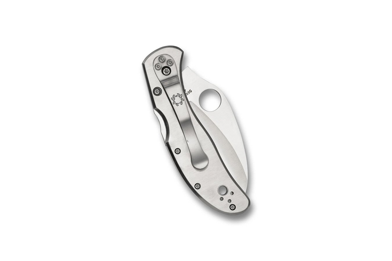 Spyderco Harpy Folding Blade Knife