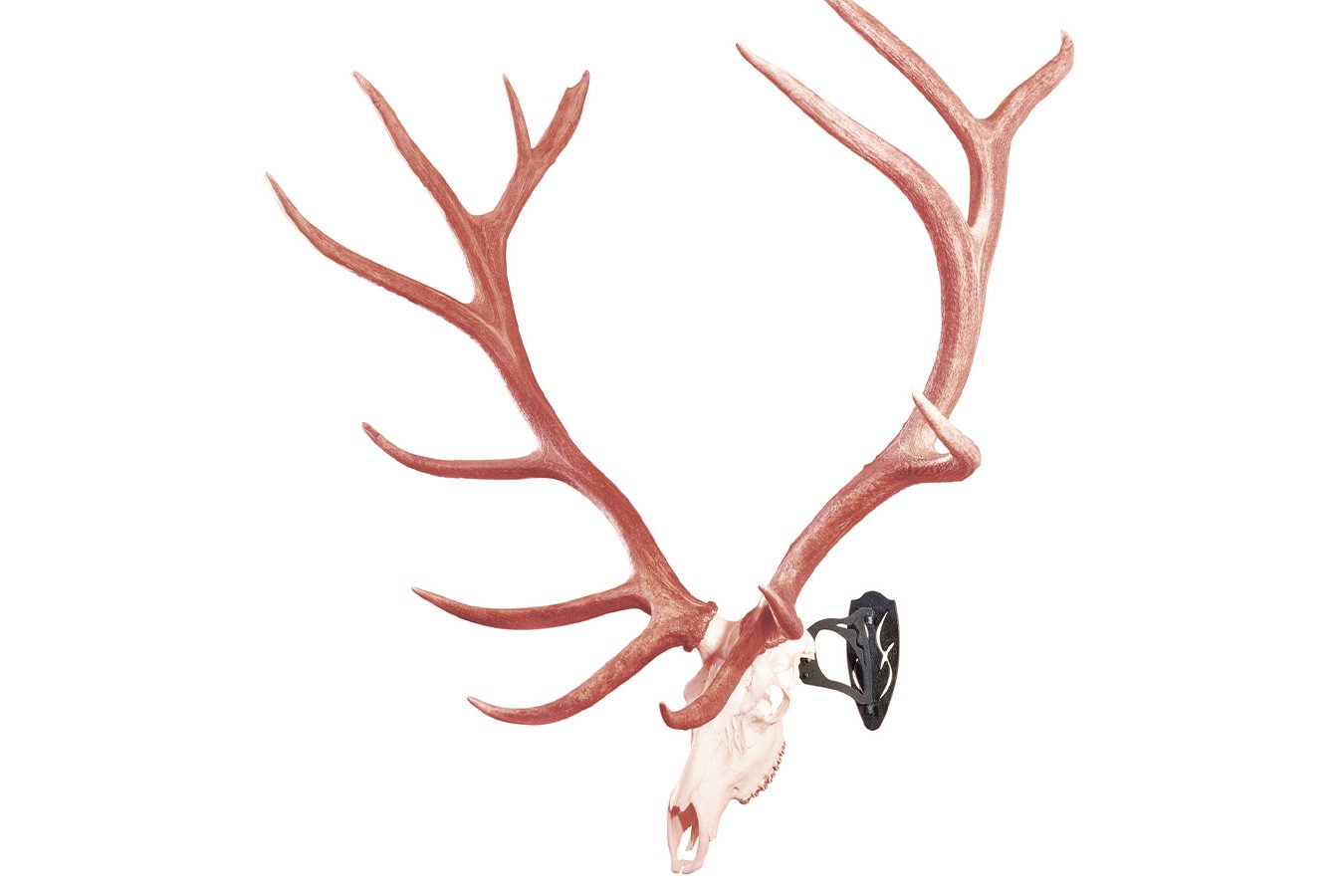 HUNTERS SPECIALTIES Big Hooker Large/XL European Game Steel Graphite Black