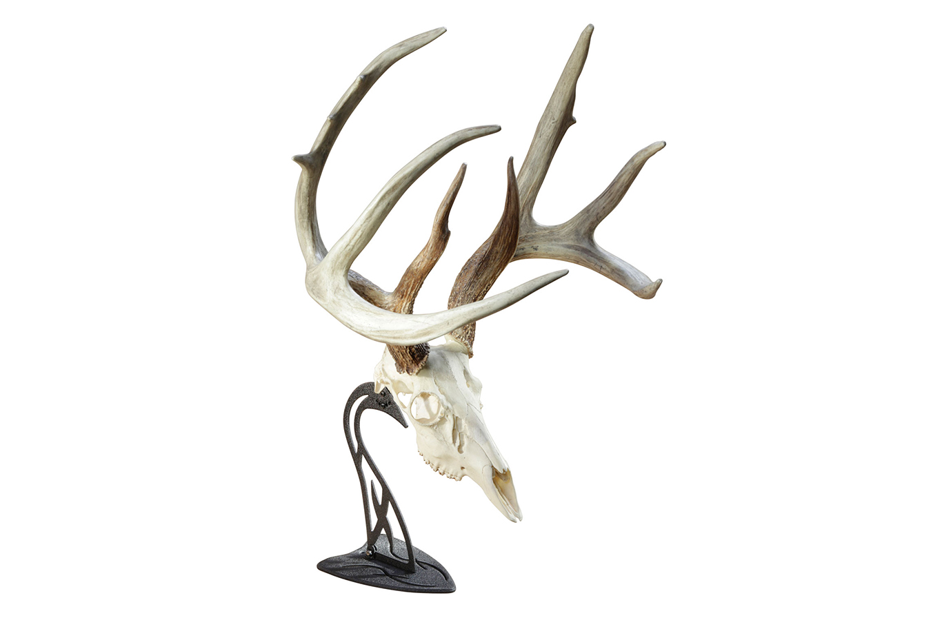 HUNTERS SPECIALTIES Table Hooker Small/Mid-Sized Game Graphite Black Steel