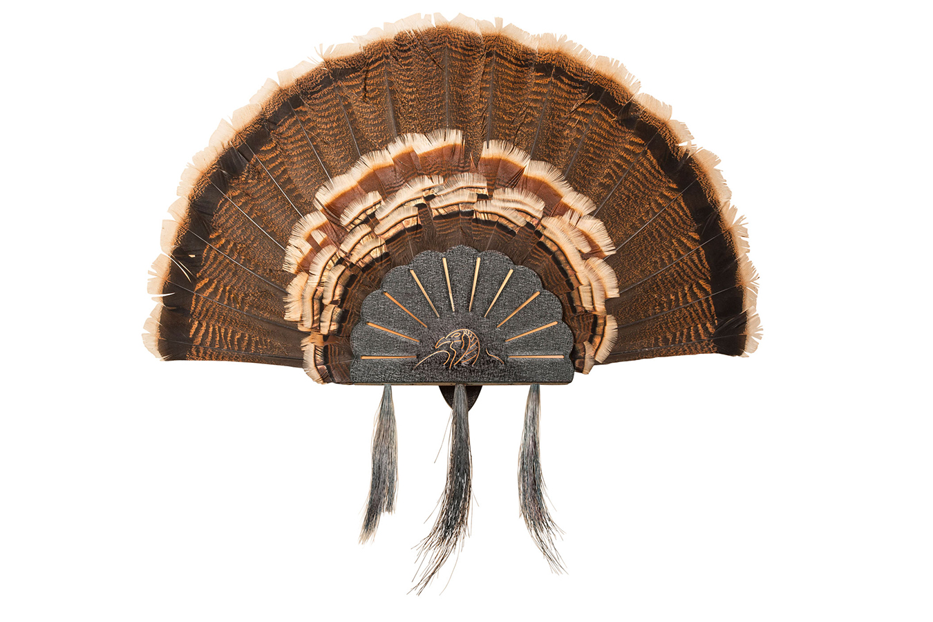 HUNTERS SPECIALTIES Turkey Mount Turkey Hooker Wall Display, Black Steel