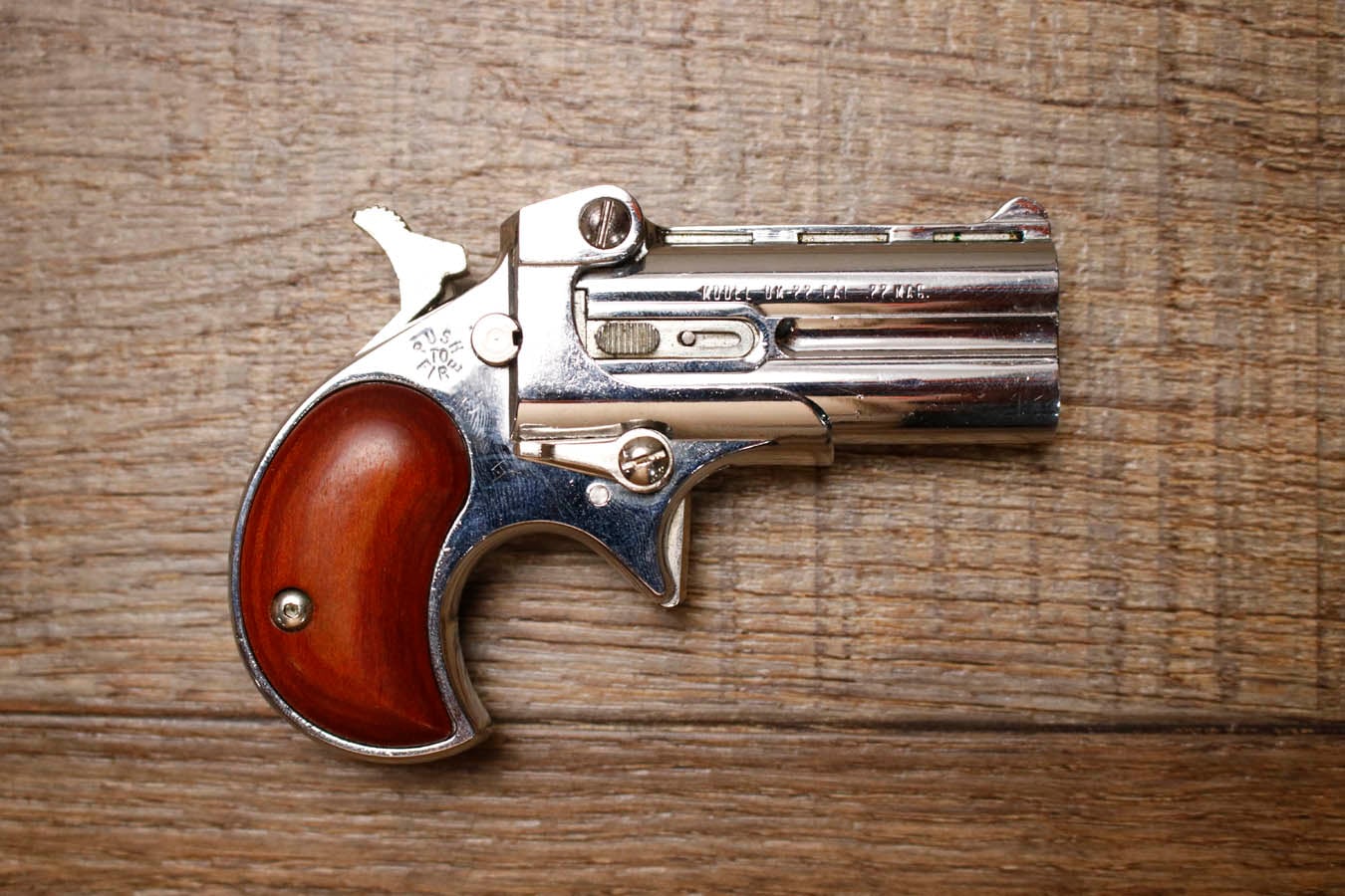 DAVIS INDUSTRIES DM-22 22 WMR Police Trade-In Pistol